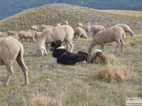 2022-10-04 Dal Redentore al Vettore 516